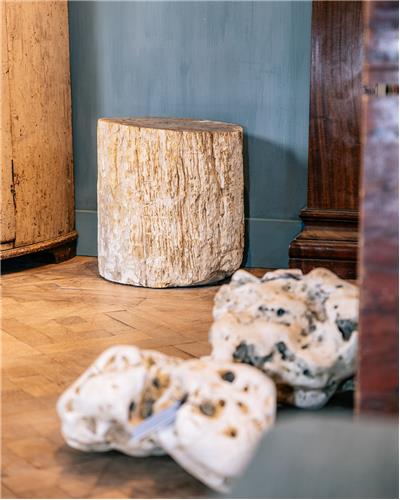 Amorphous - Fossilized Wood Table